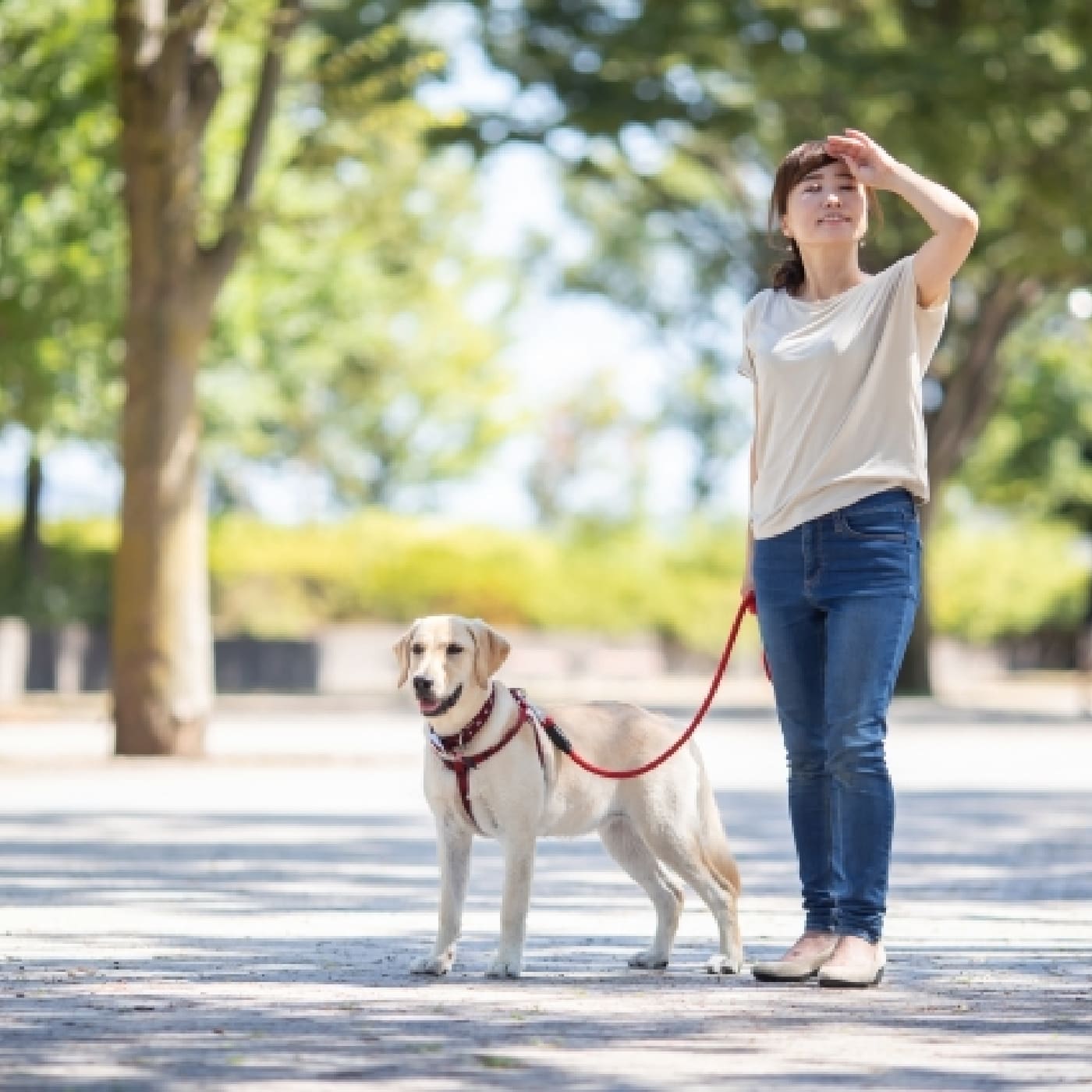 愛犬オリジナルグッズ